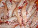 Prawn Sea Foods