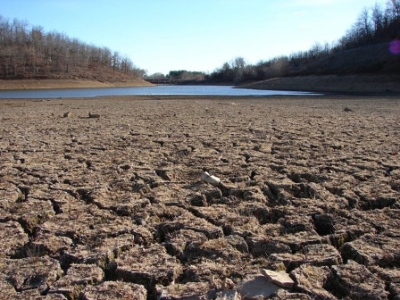 Dry Bed Sea News