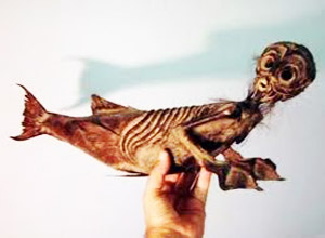 Proteus Monster